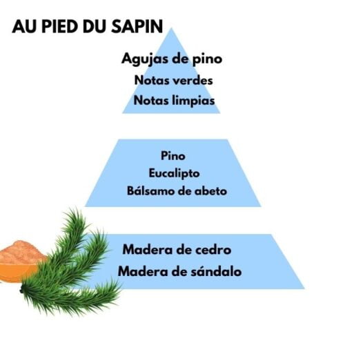 Piramide olfativa del aroma Au pied du sapin de la marca Berger D'Arome