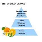 Piramide olfativa del aroma Zest of green orange de la marca Berger D'Arome