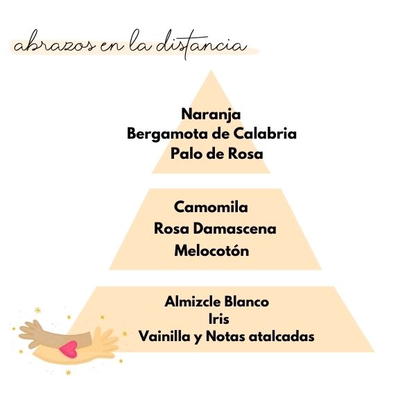 Pirámide olfativa del aroma abrazos en la distancia de la marca Loes para D'Arome