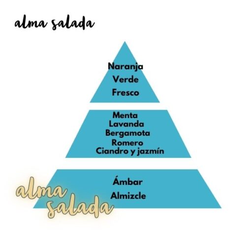 Pirámide olfativa del aroma alma salada de la marca Loes para D'Arome