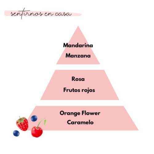 Pirámide olfativa del aroma sentirnos en casa de la marca Loes para D'Arome