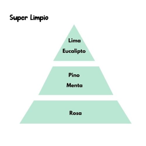 Pirámide olfativa del aroma súper limpio de la marca Loes para D'Arome